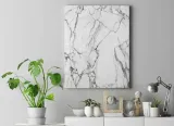 obraz-na-plotnie-100x75-m2p-rosliny-05-canvas-stan-nowy
