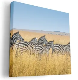 obraz-na-plotnie-80x80-m2p-sawanna-11-canvas-wzory