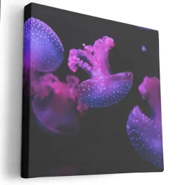obraz-na-plotnie-80x80-m2p-ocean-20-canvas-wzory