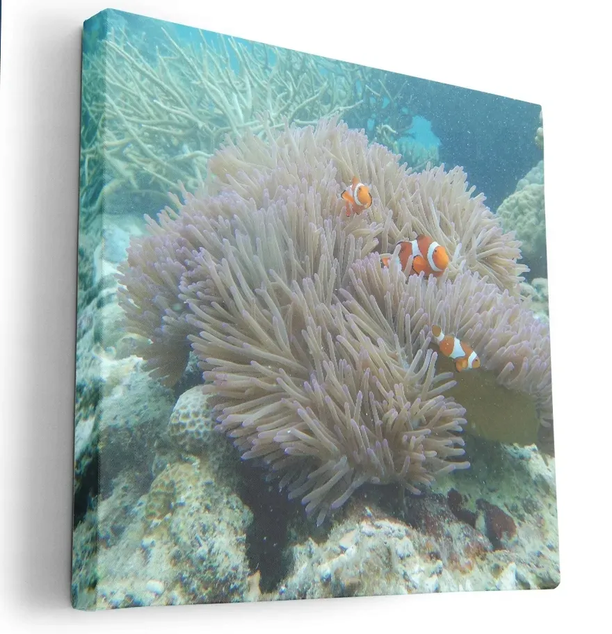 obraz-na-plotnie-80x80-m2p-ocean-13-canvas-wzory