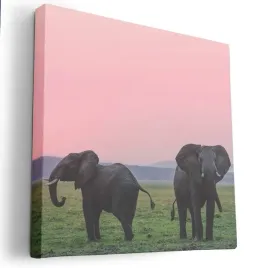 obraz-na-plotnie-80x80-m2p-sawanna-17-canvas-wzory