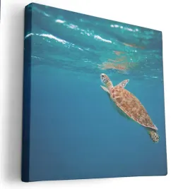 obraz-na-plotnie-80x80-m2p-ocean-03-canvas-wzory