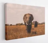 obraz-na-plotnie-100x75-m2p-sawanna-01-canvas