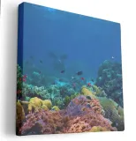 obraz-na-plotnie-80x80-m2p-ocean-01-canvas-wzory