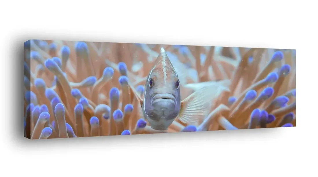 obraz-na-plotnie-145x45-m2p-ocean-10-canvas-wzory