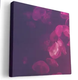 obraz-na-plotnie-80x80-m2p-ocean-17-canvas-wzory