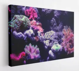 obraz-na-plotnie-100x75-m2p-ocean-18-canvas-wzory