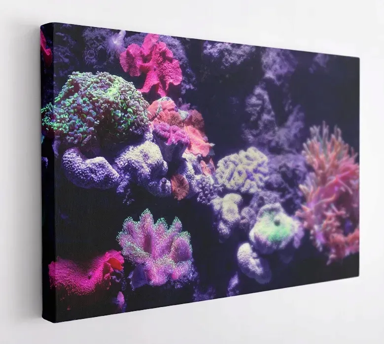 obraz-na-plotnie-100x75-m2p-ocean-18-canvas-wzory