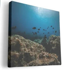 obraz-na-plotnie-80x80-m2p-ocean-12-canvas-wzory