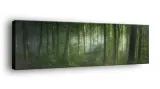 obraz-na-plotnie-145x45-m2p-las-06-canvas-wzory