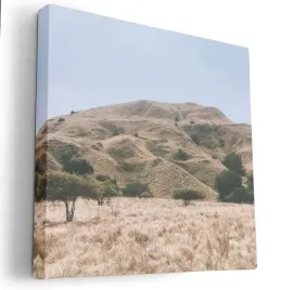 obraz-na-plotnie-80x80-m2p-sawanna-20-canvas-wzory