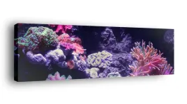 obraz-na-plotnie-145x45-m2p-ocean-18-canvas-wzory