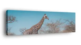 obraz-na-plotnie-145x45-m2p-sawanna-16-canvas