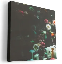 obraz-na-plotnie-40x40-m2p-ocean-08-canvas-wzory