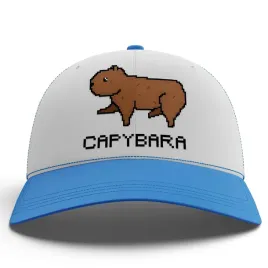 smieszna-niebieska-czapka-z-daszkiem-memy-na-prezent-imp-kapibara-20