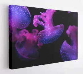 obraz-na-plotnie-100x75-m2p-ocean-20-canvas-wzory