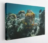obraz-na-plotnie-60x40m2p-ocean-06-canvas-wzory
