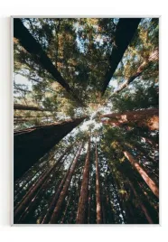 plakat-a4-21x30-w-ramie-m2p-las-22