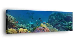 obraz-na-plotnie-145x45-m2p-ocean-01-canvas-wzory