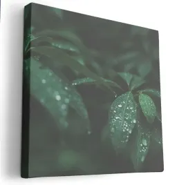 obraz-na-plotnie-40x40-m2p-rosliny-05-canvas-wzory