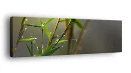obraz-na-plotnie-145x45-m2p-rosliny-09-canvas