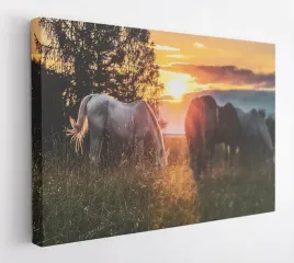 obraz-na-plotnie-70x50-m2p-konie-02-canvas-wzory
