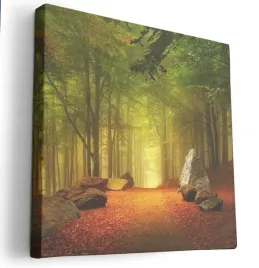 obraz-na-plotnie-80x80-m2p-las-02-canvas-wzory