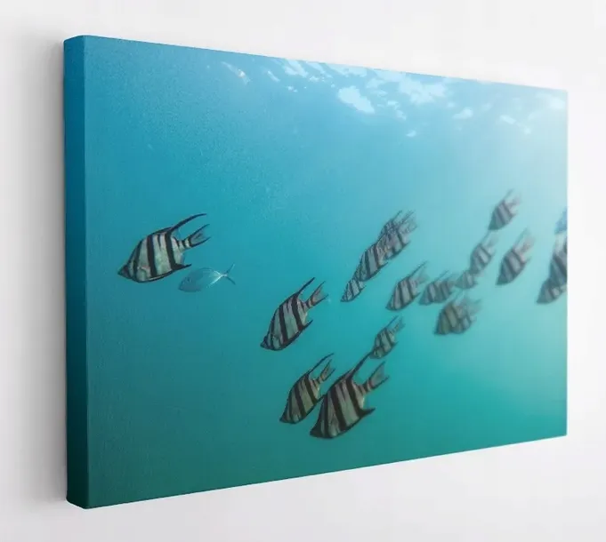obraz-na-plotnie-100x75-m2p-ocean-11-canvas-wzory