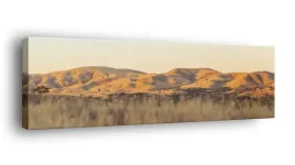 obraz-na-plotnie-145x45-m2p-sawanna-05-canvas