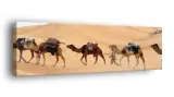 obraz-na-plotnie-145x45-m2p-pustynia-16-canvas
