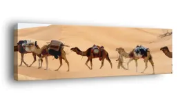 obraz-na-plotnie-145x45-m2p-pustynia-16-canvas