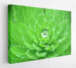 obraz-na-plotnie-100x75-m2p-rosliny-13-canvas