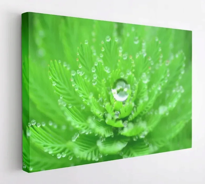 obraz-na-plotnie-100x75-m2p-rosliny-13-canvas