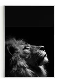 plakat-bez-ramy-a4-21x30-m2p-lew-05