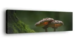obraz-na-plotnie-145x45-m2p-las-11-canvas-wzory