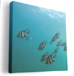 obraz-na-plotnie-80x80-m2p-ocean-11-canvas-wzory
