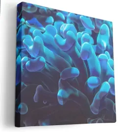 obraz-na-plotnie-40x40-m2p-ocean-14-canvas-wzory