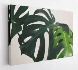 obraz-na-plotnie-100x75-m2p-rosliny-08-canvas