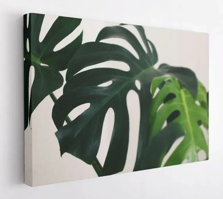 obraz-na-plotnie-100x75-m2p-rosliny-08-canvas