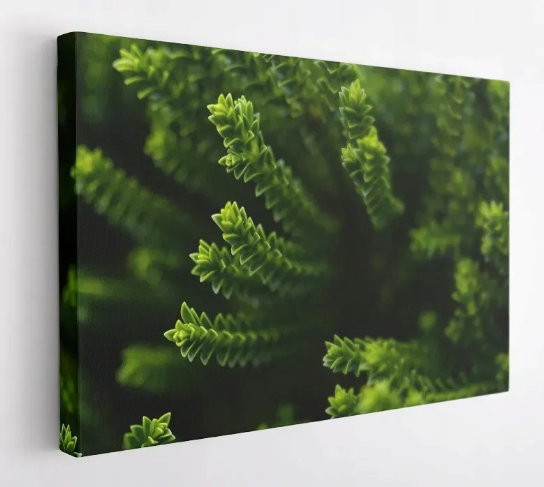 obraz-na-plotnie-100x75-m2p-rosliny-06-canvas