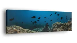obraz-na-plotnie-145x45-m2p-ocean-12-canvas-wzory
