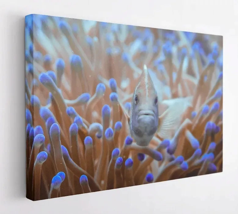 obraz-na-plotnie-60x40m2p-ocean-10-canvas-wzory