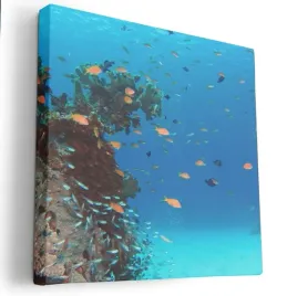 obraz-na-plotnie-80x80-m2p-ocean-15-canvas-wzory