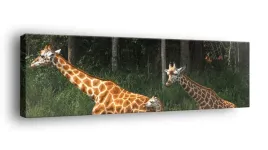 obraz-na-plotnie-145x45-m2p-sawanna-13-canvas