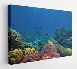 obraz-na-plotnie-100x75-m2p-ocean-01-canvas-wzory