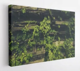 obraz-na-plotnie-100x75-m2p-rosliny-14-canvas