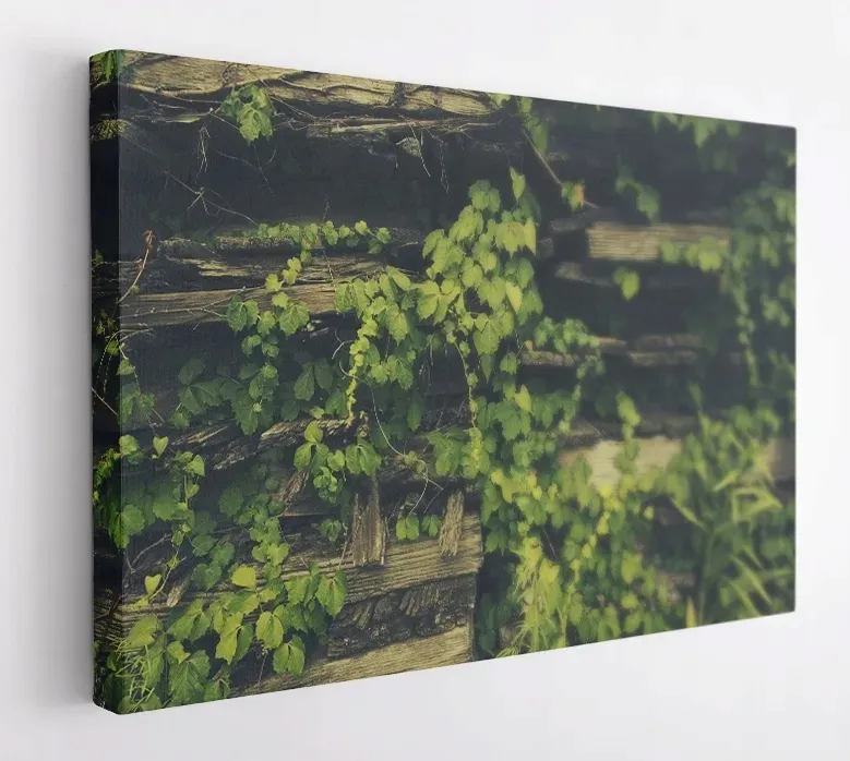 obraz-na-plotnie-100x75-m2p-rosliny-14-canvas