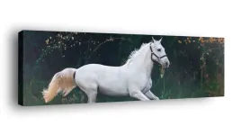 obraz-na-plotnie-145x45-m2p-konie-03-canvas-wzory