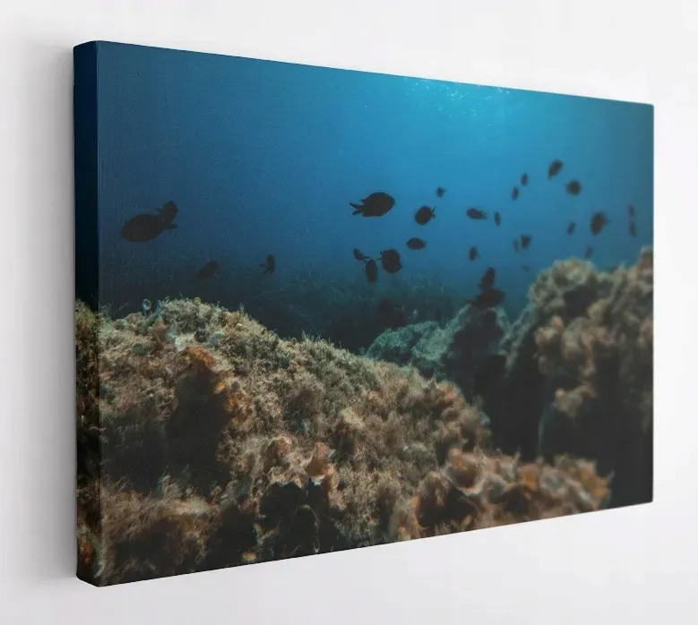 obraz-na-plotnie-60x40m2p-ocean-12-canvas-wzory