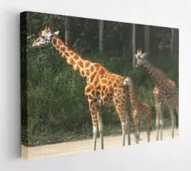 obraz-na-plotnie-100x75-m2p-sawanna-13-canvas